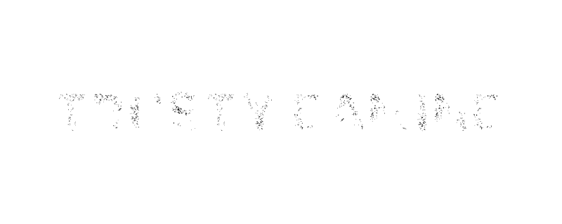 Trusty Gaming